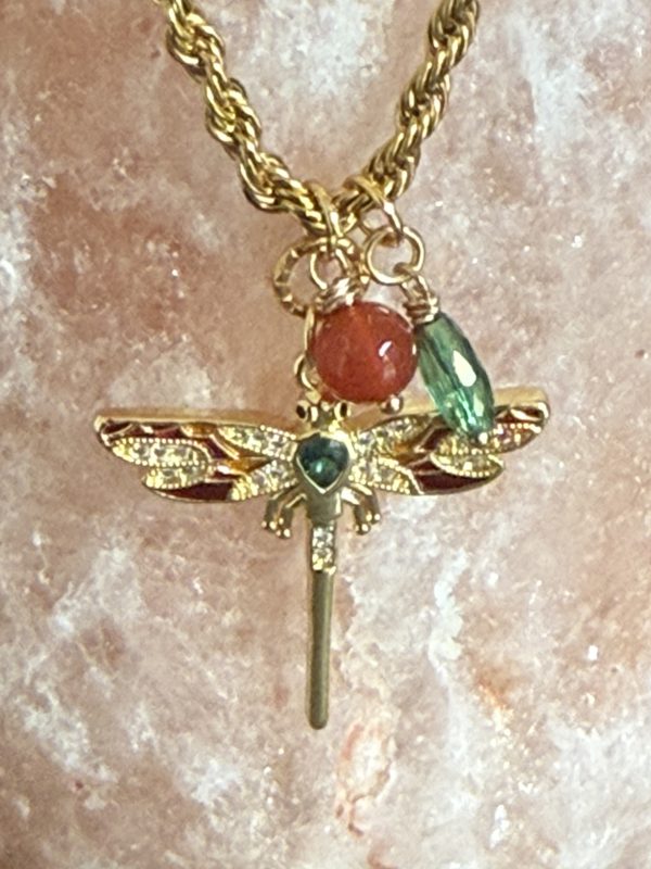 IMG_3534 Libelle chain