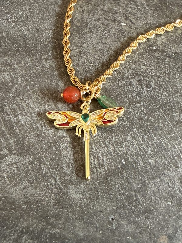 IMG_3535 Libelle chain