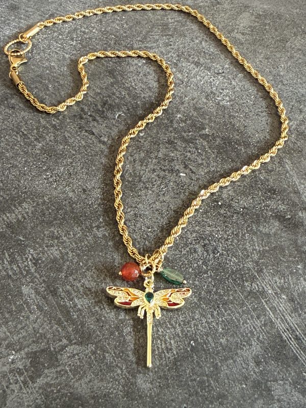 IMG_3537 Libelle chain
